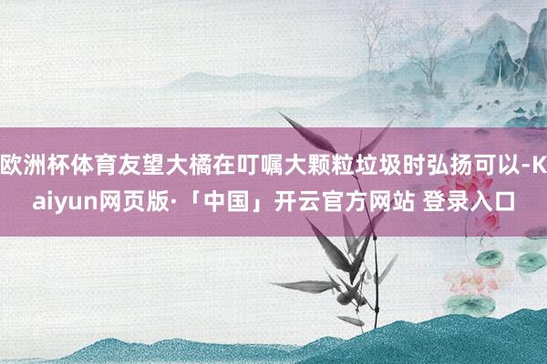 欧洲杯体育友望大橘在叮嘱大颗粒垃圾时弘扬可以-Kaiyun网