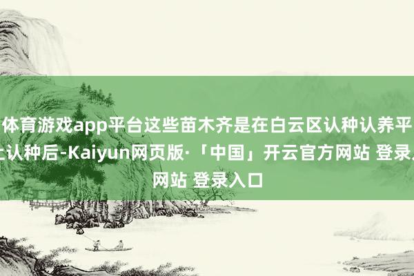 体育游戏app平台这些苗木齐是在白云区认种认养平台上认种后-